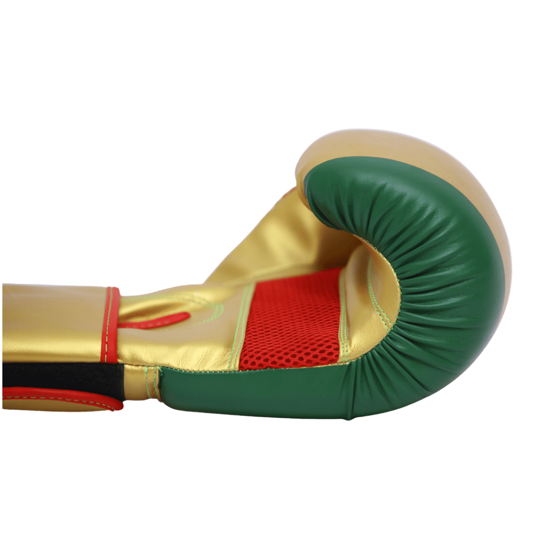 Gants de boxe Skwale Pretender "Sénégal" Flag