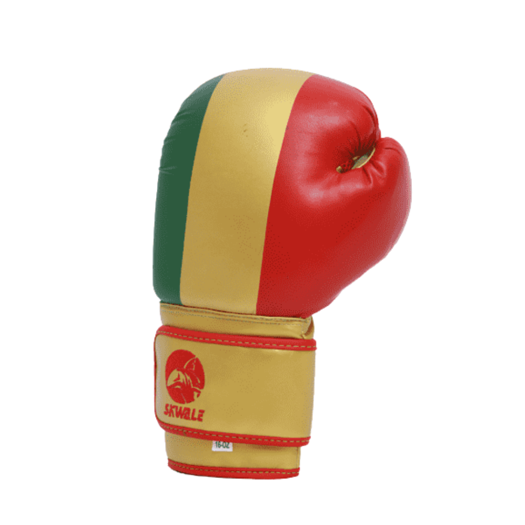 Gants de boxe Skwale Pretender "Mali" Flag