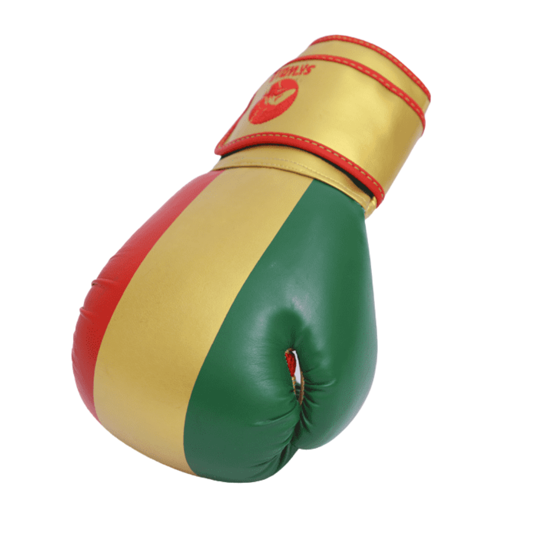 Gants de boxe Skwale Pretender "Mali" Flag