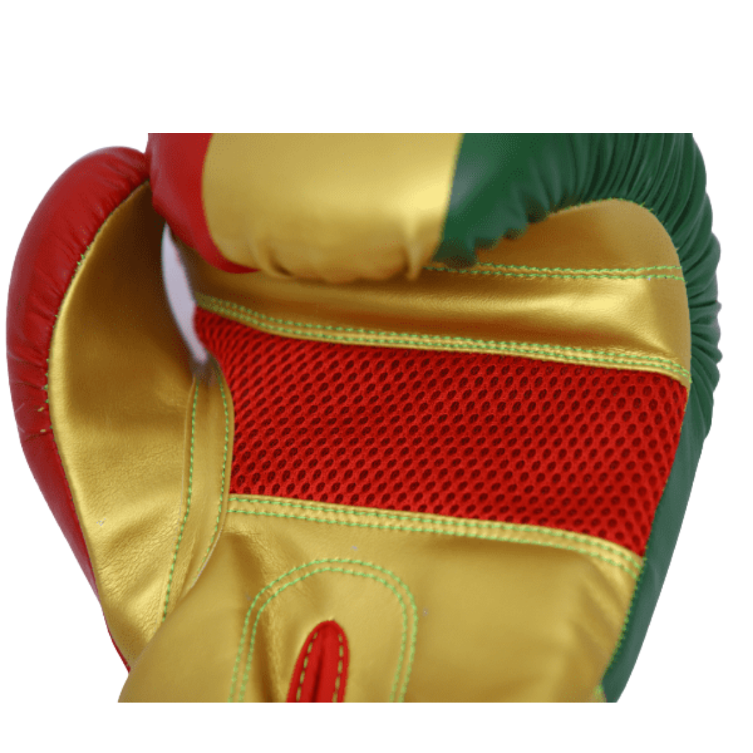 Gants de boxe Skwale Pretender "Mali" Flag