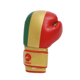 Gants de boxe Skwale Pretender "Mali" Flag