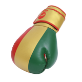 Gants de boxe Skwale Pretender "Mali" Flag