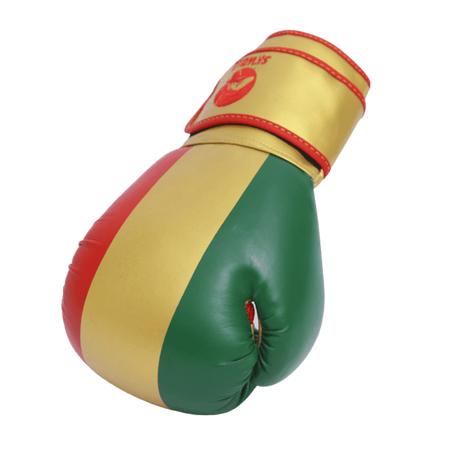 Gants de boxe Skwale Pretender "Mali" Flag