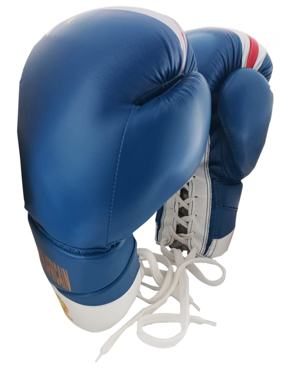 Gants de boxe Skwale à lacets "Cap Vert" Flag