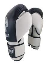 Gants de Boxe